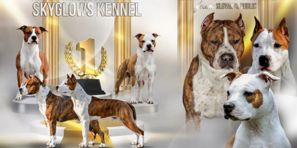 TOP CHOVATEĽSKÁ STANICA AST 2025 !!!